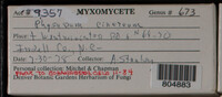 Image Associated With the Occurence